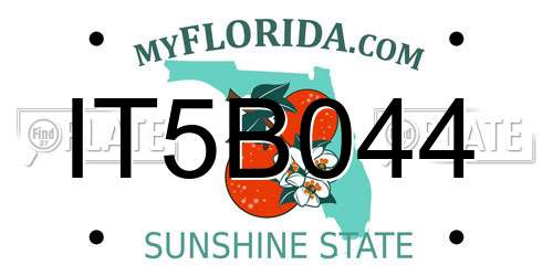 IT5B044 Florida License Plate