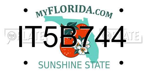 IT5B744 Florida License Plate