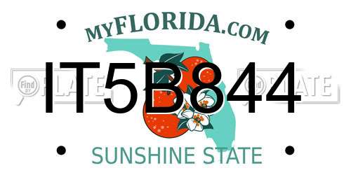 IT5B844 Florida License Plate