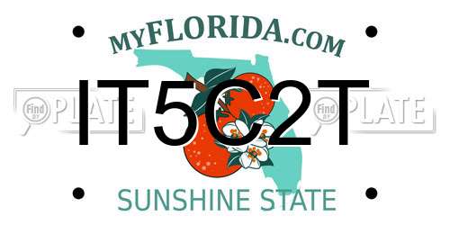 IT5C2T Florida License Plate