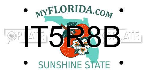 IT5R8B Florida License Plate