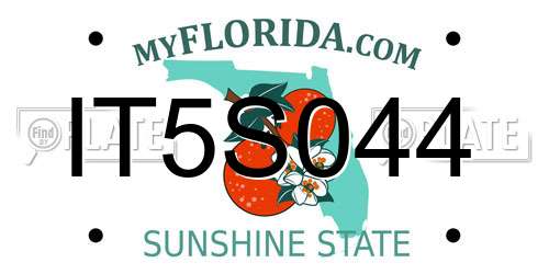 IT5S044 Florida License Plate