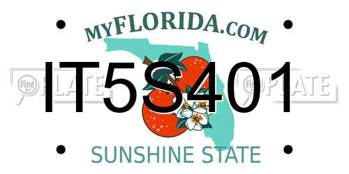 IT5S401 Florida License Plate