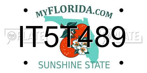 IT5T489 Florida License Plate