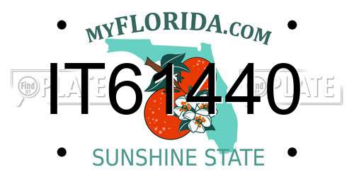 IT61440 Florida License Plate