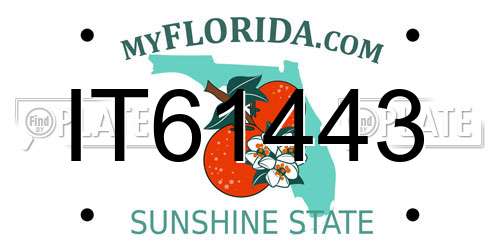 IT61443 Florida License Plate