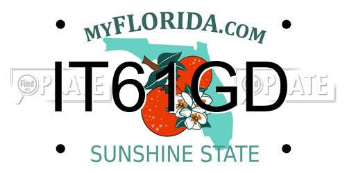 IT61GD Florida License Plate