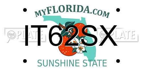 IT62SX Florida License Plate