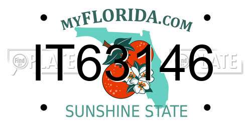 IT63146 Florida License Plate