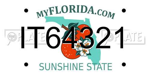 IT64321 Florida License Plate