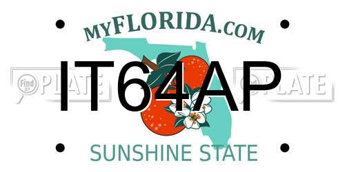 IT64AP Florida License Plate