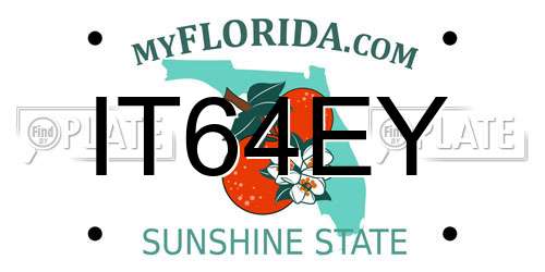 IT64EY Florida License Plate