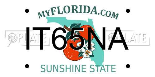 IT65NA Florida License Plate