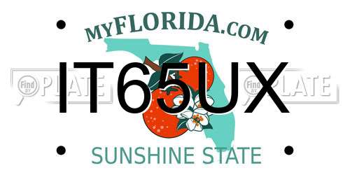 IT65UX Florida License Plate