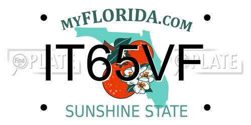 IT65VF Florida License Plate