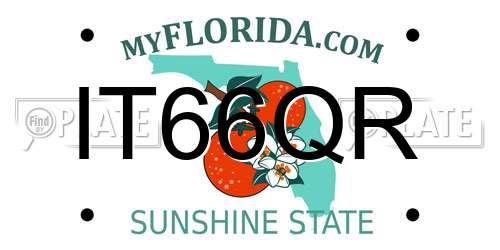 IT66QR Florida License Plate