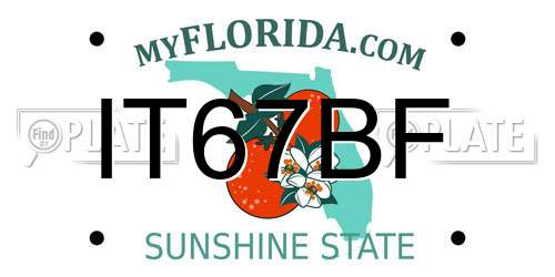 IT67BF Florida License Plate