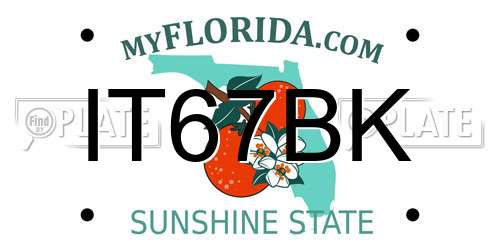 IT67BK Florida License Plate
