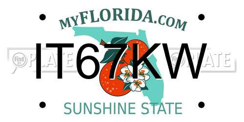 IT67KW Florida License Plate