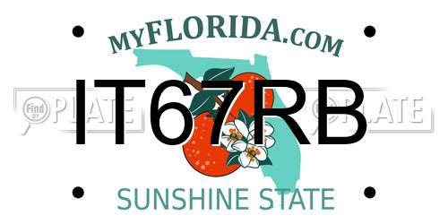 IT67RB Florida License Plate