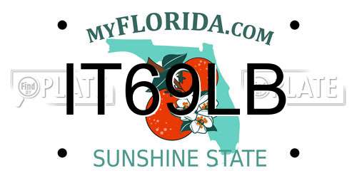IT69LB Florida License Plate