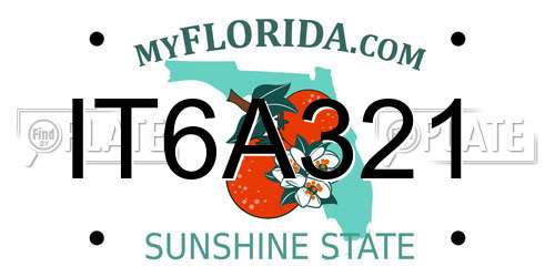 IT6A321 Florida License Plate