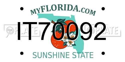 IT70092 Florida License Plate