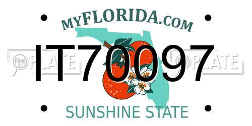 IT70097 Florida License Plate