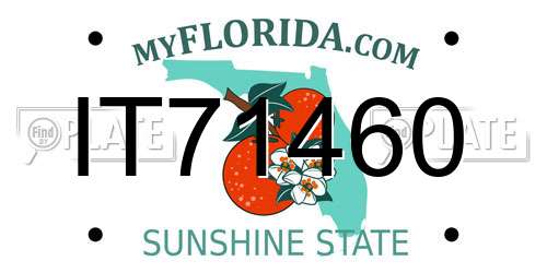 IT71460 Florida License Plate