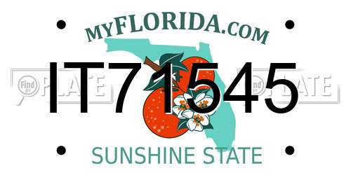 IT71545 Florida License Plate