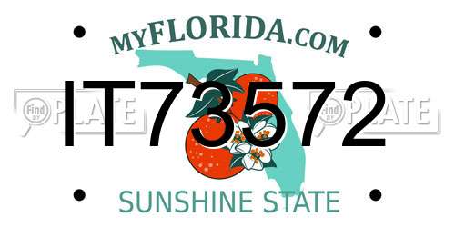 IT73572 Florida License Plate