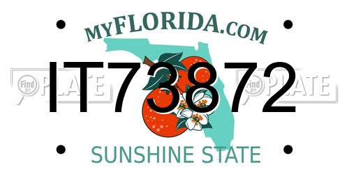 IT73872 Florida License Plate
