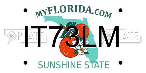IT73LM Florida License Plate