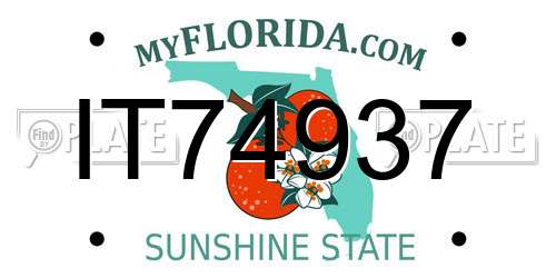 IT74937 Florida License Plate