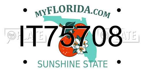 IT75708 Florida License Plate