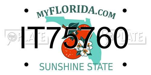 IT75760 Florida License Plate