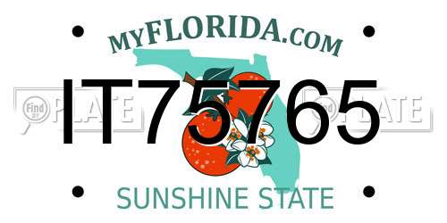 IT75765 Florida License Plate