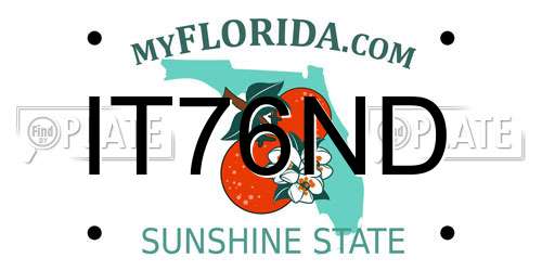 IT76ND Florida License Plate
