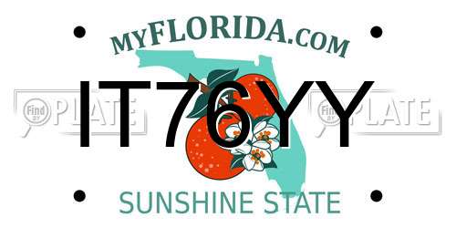 IT76YY Florida License Plate