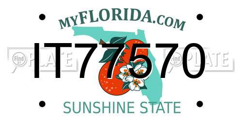 IT77570 Florida License Plate
