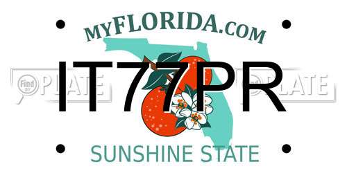 IT77PR Florida License Plate