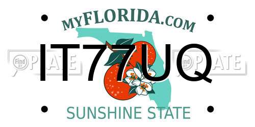 IT77UQ Florida License Plate