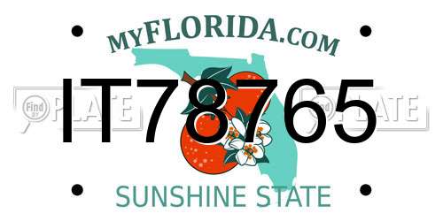 IT78765 Florida License Plate