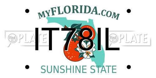 IT78IL Florida License Plate