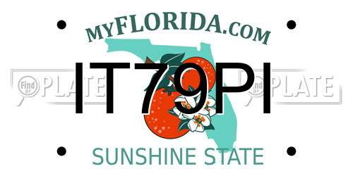 IT79PI Florida License Plate