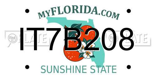 IT7B208 Florida License Plate