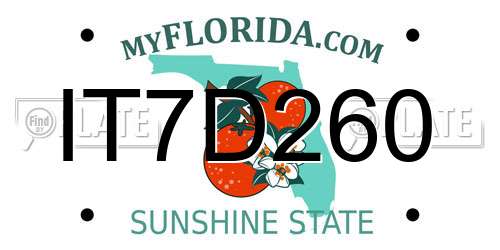 IT7D260 Florida License Plate