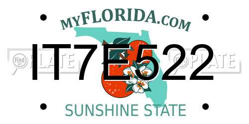 IT7E522 Florida License Plate