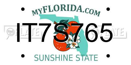 IT7S765 Florida License Plate
