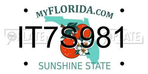 IT7S981 Florida License Plate